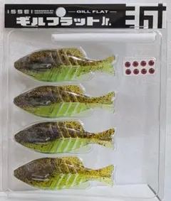 グリーンパンプキン　ギルフラットJr　イッセイ②のサムネイル