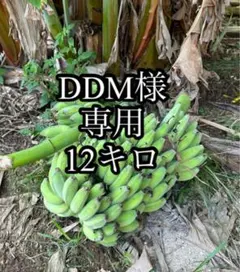 【DDM様専用】アップル・島バナナのリメインダーバナナ
