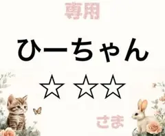 専用