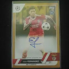 2025年最新】エンソフェルナンデスの人気アイテム - メルカリ