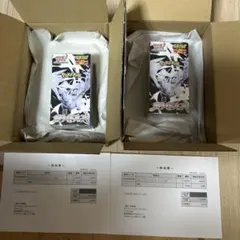 ホワイトフレア　デラックス拡張パックデラックス　シュリンク付き　2BOX