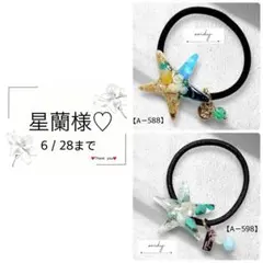 星蘭様♡専用ページ