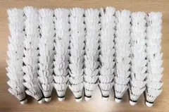 Item thumbnail for item c17bed87-5644-4b41-bb9e-e8181e874b14