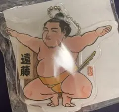 2025年最新】国技大相撲の人気アイテム - メルカリ