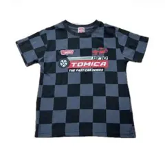 Item thumbnail for item 0a6aa008-42c3-49ea-ae02-6c22951adf15