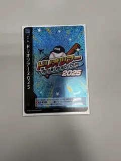ドリオツアー　タイムポイント　ドリームオーダー