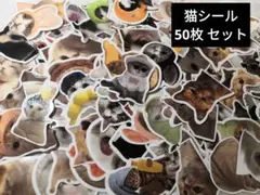 Item thumbnail for item 48a3e3f1-8268-49b5-aa04-5932f980c598