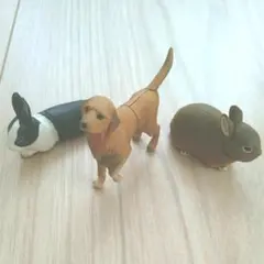 海洋堂 チョコエッグ ペット動物 第1弾 ゴールデンレトリバー 等 3種セット