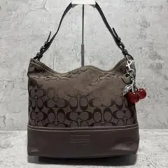 COACH Y2K Signature Brown Shoulder Bag