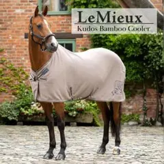 Asami様 リクエスト 4点 まとめ商品