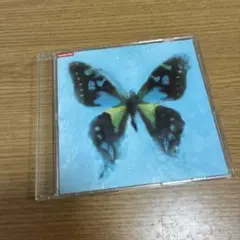 ポルノグラフィティ/アゲハ蝶 F