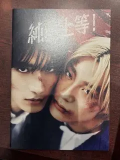 純愛上等　パンフレット