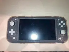 Nintendo Switch Lite 本体・クリアケース・充電器・ケーブル
