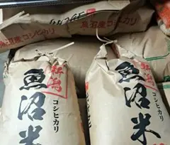 Tomo様専用　玄米５キロ×2のサムネイル