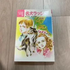 Item thumbnail for item 92f8b22d-6373-413d-a0dc-1c68ddc6b774