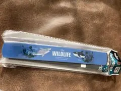 Item thumbnail for item a52e015e-aeb6-4ef6-94f3-84037ba027fe