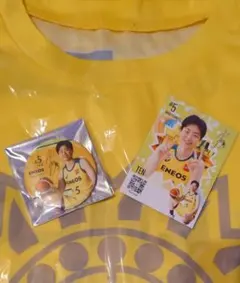 Item thumbnail for item 6f5c8b52-40e7-49c3-a690-19aedb55b0fa