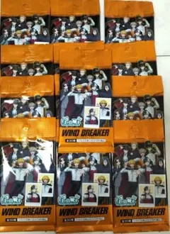 WIND BREAKER ぱしゃこれ　8セット