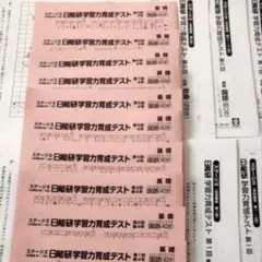 2025年最新】日能研育成テストの人気アイテム - メルカリ