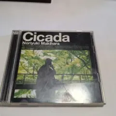 槇原敬之/Cicada