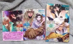 BL 魔神の婚姻、虎王の祝祭、偽りの歌姫【3冊セット】