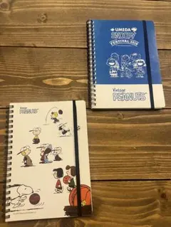 Item thumbnail for item c752c809-b986-416f-8c10-f7c8b48ecb4a