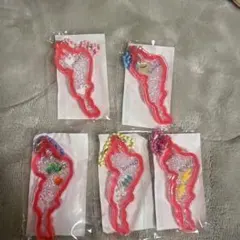 琵琶湖キーホルダー　ピンク5個セット
