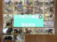 2026年最新】サラブレッドコレクションまとめ売りの人気アイテム