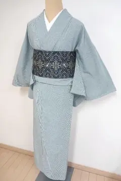 新品 正絹 夏単衣 蝶 トールサイズ 薄物 小紋 着物 A3467② 新品 正絹 夏単衣 蝶 トールサイズ 薄物 小紋 着物 A3467②