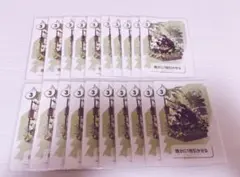 ワイテルズ　シクテルズ　シャークん