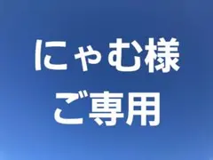 にゃむ様ご専用ページ