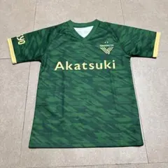 Item thumbnail for item 4cd73bf3-c4d7-4760-a287-3ad5c40311fc