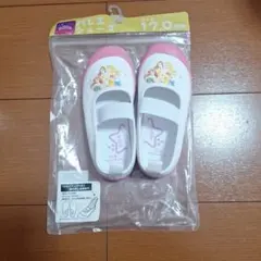 プリンセス柄 上履き 17.0cm