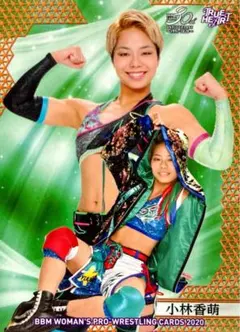 Item thumbnail for item 6d388052-69de-4c2c-bb0c-91823292076c