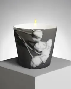 ブルースウェーバー　ハーブリッツ　メイプルソープ　写真集　3分冊セット ブルースウェーバー ハーブリッツ メイプルソープ 写真集 3分冊セット