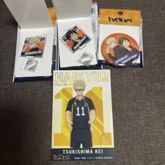 ハイキュー‼︎ 月島蛍　山口忠