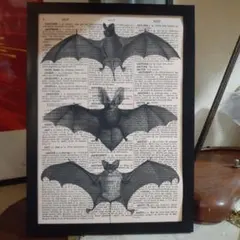 Item thumbnail for item 4eef57e8-4cd5-48df-ae7f-addd66bc4674