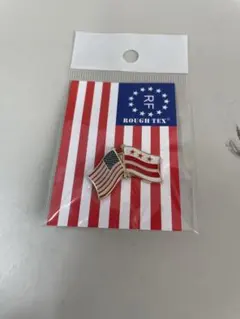 USA & WASHINGTON DC PIN
