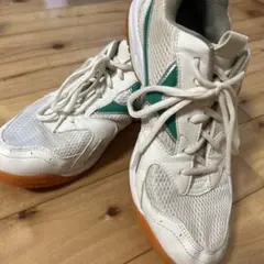 ニッシン学校指定　体育　 室内シューズ　紐靴　25.5cm