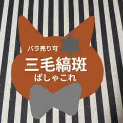 2026年最新】あんスタ ぱしゃこれ 4周年の人気アイテム - メルカリ