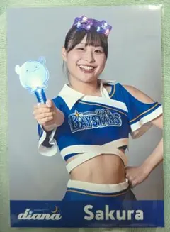 DeNAベイスターズ ファンフェス　ブラインドフォト　diana Sakura