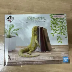 一番くじ 爬虫類&両生類 A賞 フトアゴヒゲトカゲ おやすみブック