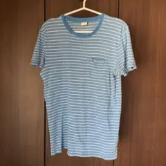 ホリスター　水色　ストライプ　メンズ　S