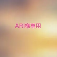 ARI様専用ページ guepard gp-m2 ブラウン サングラス