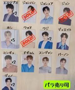 【バラ売り可】ドームトレカ 2020 セブチ SEVENTEEN