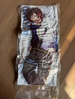 Crazy Raccoon ビッグ　クッション GiGOグループ うるか