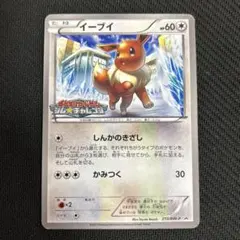 イーブイ ジムチャレンジ PROMO BW-Pプロモカード 213/BW-P