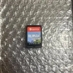 ヒューマンフォールフラット Switch カセット