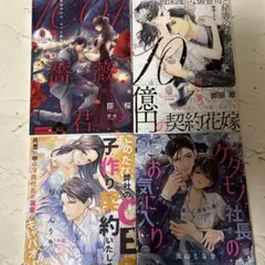 【204】TL小説4冊セット
