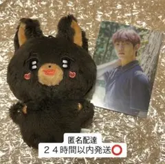 2025年最新】Ateez ヨサン ぬいぐるみの人気アイテム - メルカリ